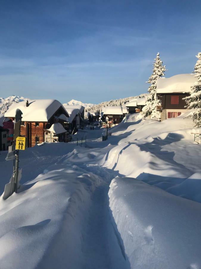 Hotel Alpfrieden Bettmeralp Eksteriør bilde